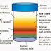 5 Colours Of Urine & What They Say About Your Health