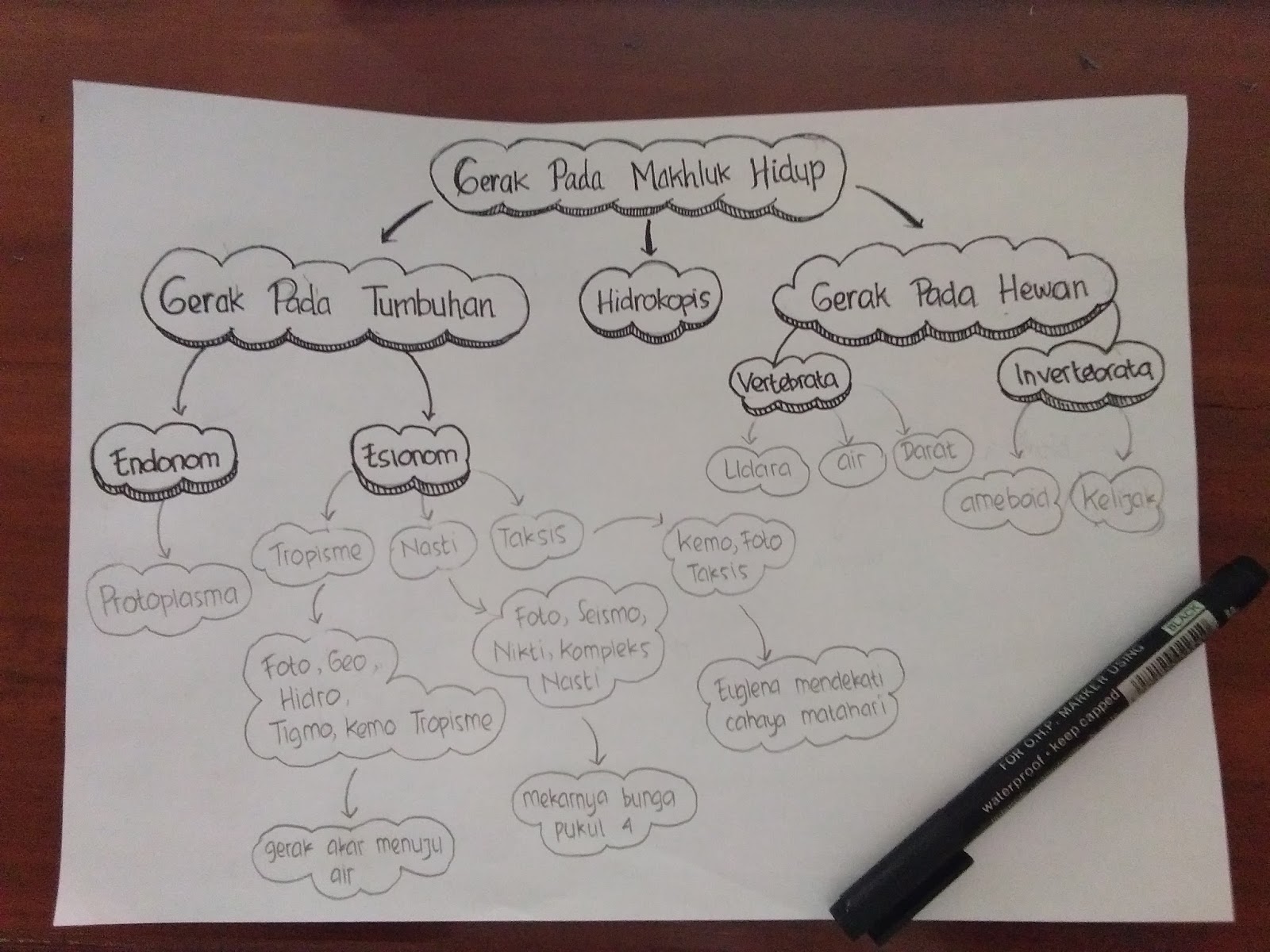  Mind  Map  Gerak  Tubuh Makhluk Hidup 