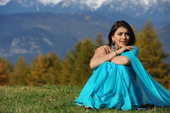 Hansika In Hot Blue Saree PhotosWallpaper gallery pictures