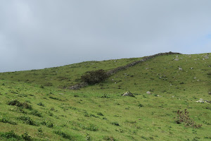 Chiburijima