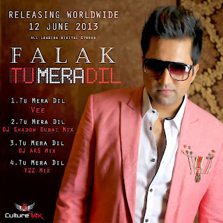 Tu Mera Dil – Falak (2013) Songs.Pk Download Pakistani Mp3 Songs