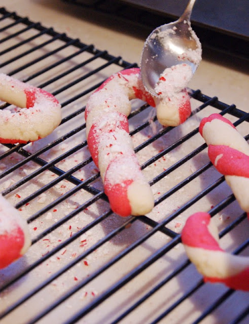  ii colors of almond carbohydrate cookie dough twisted together Candy Cane Cookies {Our 'Black Friday' Project}