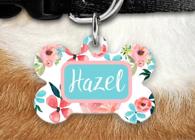 8 adorable dog identification tags for National Pet Preparedness Month