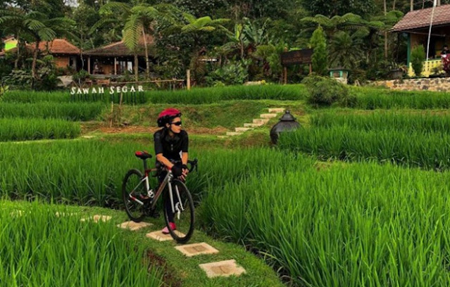 harga menu sawah segar sentul bogor, menu sawah segar sentul, lokasi sawah segar sentul, alamat sawah segar sentul, daftar harga sawah segar sentul, tempat makan sawah segar sentul, resto sawah segar sentul