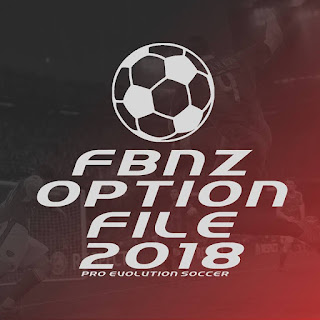 FBNZ Option File 2018