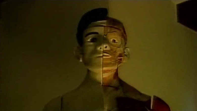 Night of Body's Model (1996)