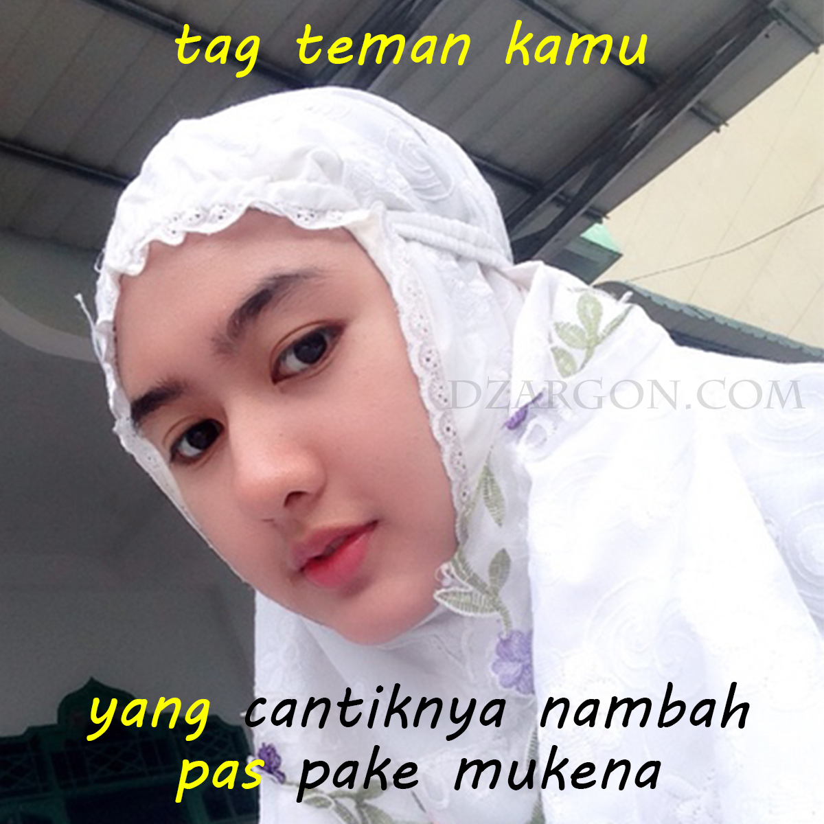 39 Trend Gambar  Meme Lucu Status  Wa  Gerbanglucu