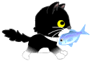 Gif de gatinho
