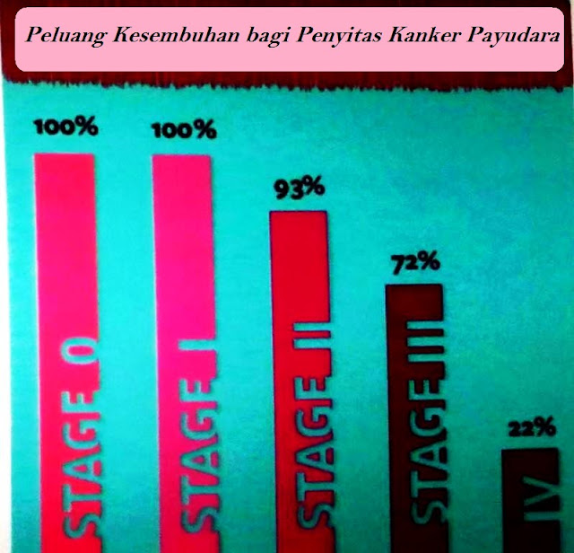 Peluang Survive Penyitas Kanker Payudara 