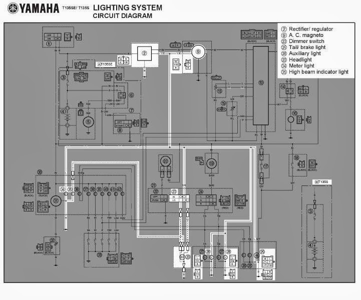  skema kelistrikan motor MX135cc lightdiagram