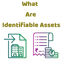 Identifiable Assets In Accounting