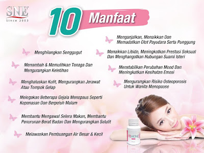 10 manfaat femone sne