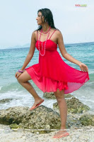 Hot, Telugu, actress, Hamsa, Nandhini, at, beach, in, pink, dress