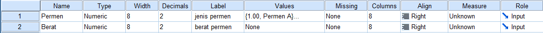 Tampilan Variable View SPSS