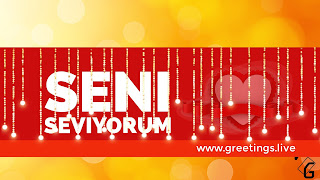 I love you in Turkish Language seni seviyorum .jpg