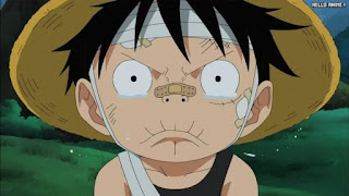 ワンピースアニメ 幼少期 495話 ルフィ かわいい Monkey D. Luffy | ONE PIECE Episode 495