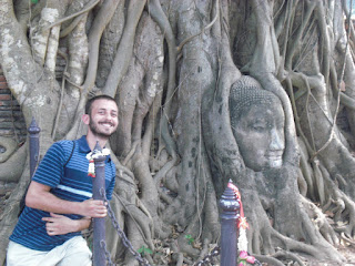 buddha in tree ayuthaya