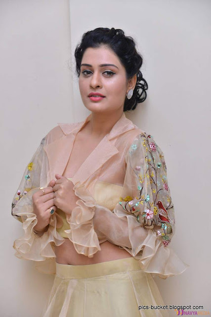 Actress payal rajput hot photos
