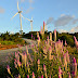 pililla wind farm: beautiful icons of renewable energry