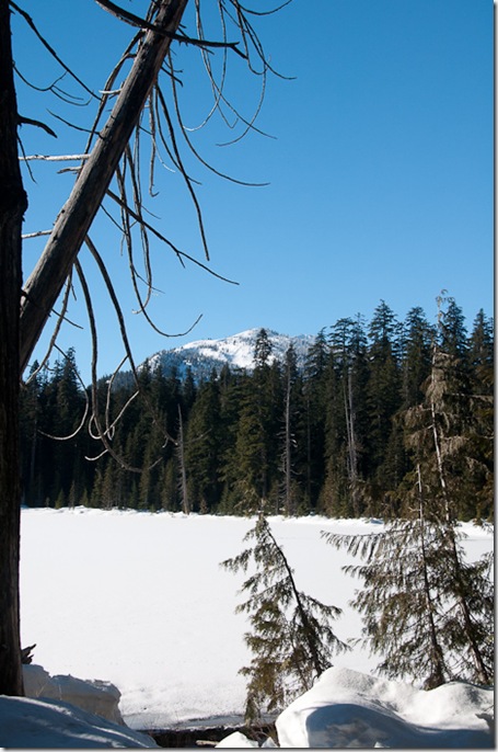 Beaver Lake-5