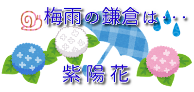 梅雨の鎌倉は・・・紫陽花