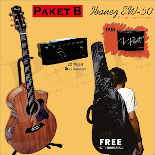 Gitar Ibanez EW-50 Premium Custom Free Tas Semi Gigbag Original Point