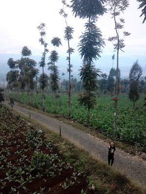 Wisata Alam Sindhumoyo Temanggung