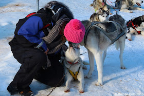 Me and Hedwig Outdoor Winter Activities in Sweden's Lapland