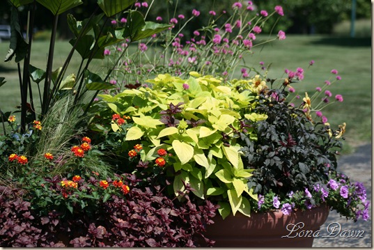 FPC_Planter_Aug18
