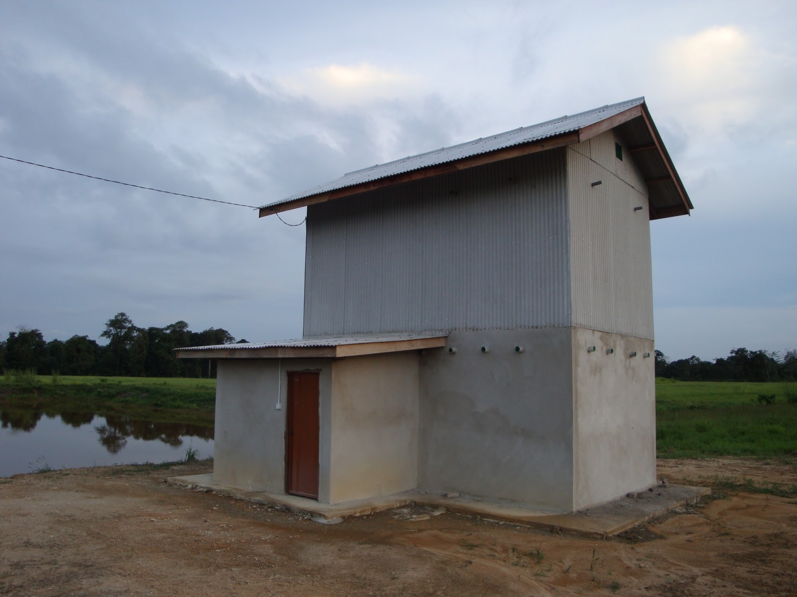 Burung Peliharaan Di Rumah - Hewan Yang Cocok Dipelihara Di Rumah - Sekitar Rumah - Pada umumnya ...