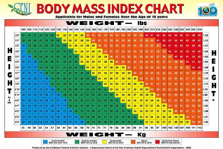Hugh S Worthless Blog Bmi Bmr Calculator Body Mass Index And