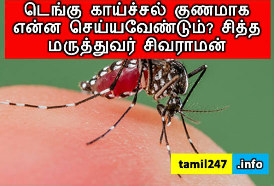 டெங்கு காய்ச்சல் குணமாக என்ன செய்யவேண்டும்? சித்த மருத்துவர் சிவராமன் 