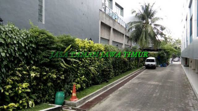 JASA TUKANG TAMAN VERTICAL SURABAYA, JASA PEMBUATAN VERTICAL GARDEN SURABAYA, JASA VERTICAL GARDEN SURABAYA BARAT, SURABAYA UTARA, SURABAYA TIMUR, SURABAYA SELATAN,  JASA PEMBUATAN TAMAN DINDING SURABAYA, JASA PEMBUATAN GREEN WALL SURABAYA, JASA PEMBUATAN ARTICIAL PLANT SURABAYA, JASA PEMBUATAN TAMAN VERTICAL GARDEN SINTETIS SURABAYA, HARGA PEMBUATAN VERTICAL GARDEN DI SURABAYA, GAMBAR VERTICAL GARDEN SURABAYA, KONSEP VERTICAL GARDEN SURABAYA, JASA TUKANG TAMAN VERTICAL GARDEN MURAH DI SURABAYA, JASA PEMBUATAN VERTICAL GARDEN INDOOR, JASA PEMBUATAN VERTICAL GARDEN OAUTDOOR, segera hubungi kami untuk mendapatkan pelayanan terbaik, roof garden murah, roof garden design, roof garden minimalis, roof garden sederhana, roof garden detail, roof garden medan, roof garden semarang, drainasecell roof garden, versicel roof garden, roof garden indonesia, roof garden jakarta, roof garden system, roof garden, roof garden adalah, drainasecell, versicell, alat roof garden, cara membuat roof garden, peralatan roof garden, roof top, top roof garden, taman dak atas, cara membuat taman dak, taman atap roof garden, taman roof garden, roof garden apartment, tukang taman vertikal, vertikal garden murah, vertikal garden sederhana, vertikal garden jakarta, tukang taman vertical, vertical garden murah, vertical garden sederhana, vertical garden jakarta, tukang taman vertikal di cibubur, tukang taman vertikal bintaro, tukang taman vertikal tangerang, tukang taman vertikal jakarta, tukang taman vertikal serpong, tukang taman vertikal jakarta , tukang taman vertikal bekasi, tukang taman vertikal di bintaro, tukang taman vertikal semarang, tukang taman vertikal pekalongan, tukang taman vertikal batang, tukang, taman vertikal cirebon, tukang taman vertikal karawang, tukang taman vertikal surabaya, tukang taman vertikal solo, tukang taman vertikal yogyakarta, tukang taman vertikal bali, tukang taman vertikal medan, tukang taman vertikal batam, tukang taman vertikal jakarta timur, tukang taman vertikal jakarta pusat, tukang taman vertikal jakarta selatan, tukang taman vertikal jakarta barat, tukang taman vertikal jakarta utara, tukang taman vertikal tangerang, tukang taman vertikal serpong, tukang taman vertikal perumahan, tukang taman vertikal murah, tukang taman vertikal kalimantan, tukang taman vertikal makssar, tukang taman vertikal papua, tukang taman vertikal Lombok, vertikal sederhana, taman vertikal paralon, taman vertikal jakarta, taman vertikal pdf, taman vertikal dari botol bekas, taman vertikal murah, taman vertikal rumah minimalis, taman vertikal adalah, taman vertikal dalam rumah, taman vertikal, taman vertikal minimalis, taman vertikal anggrek, taman vertikal botol, taman vertikal di bandung, taman vertikal menggunakan botol bekas, taman vertikal dari batu bata, biaya taman vertikal, buat taman vertikal, contoh taman vertikal, cara taman vertikal, contoh taman vertikal garden, taman vertikal di rumah, taman vertikal di lahan sempit, taman vertikal di dinding, taman vertikal dinding, taman vertikal dengan paralon, taman vertikal depok, fungsi taman vertikal, foto taman vertikal, taman vertikal garden, taman gantung vertikal, gambar taman vertikal minimalis, cara membuat taman vertikal garden, gambar taman vertikal, griya taman vertikal, desain taman vertikal garden, taman vertikal hidroponik, taman vertikal harga, harga taman vertikal murah, taman vertikal indonesia, taman vertikal indoor, taman vertikal italia, ide taman vertikal