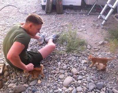 Seorang perawat US army bermain dengan anak-anak kucing di Afghanistan