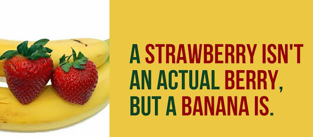 A Strawberry Is Not A Berry But A Banana Is, Top 10 Amazing Facts Of The World 