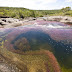 Sungai Kristal : Sungai Tercantik Dunia