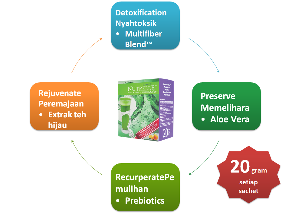 4 Fasa Detox Lengkap Dengan Nutrelle Extra  Lutfi Yunus