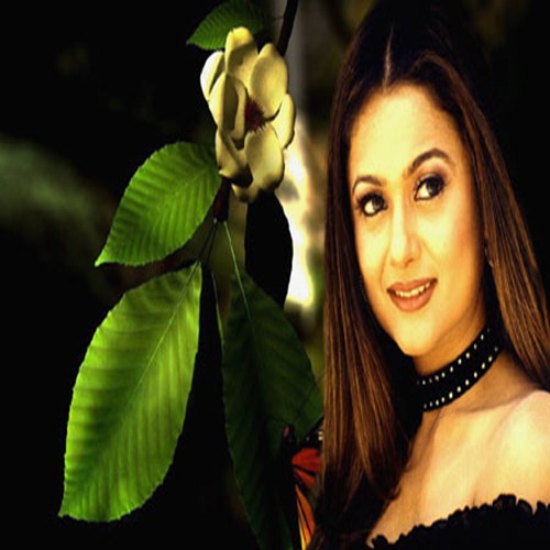 Amrita Arora washing Car Wallpapers
