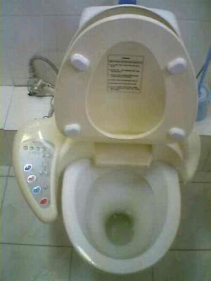 unusual toilets