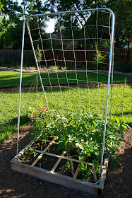 The Amazing $15 Trellis | From Our Garden