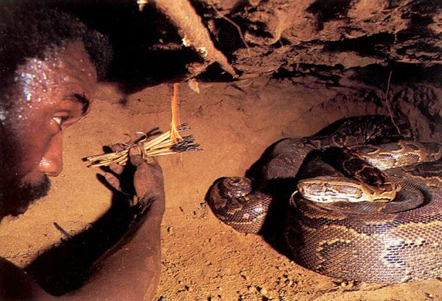 Shocking Pictures of an African Catching Python for a Living