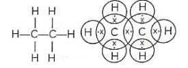 Ethane-CBSE Class 10 Science Notes Chapter 4 Carbon and its Compounds