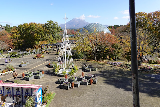 鳥取県西伯郡南部町鶴田 とっとり花回廊