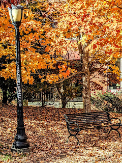 Inviting bench from a stroll in the park