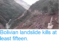 https://sciencythoughts.blogspot.com/2019/02/bolivian-landslide-kills-at-least.html