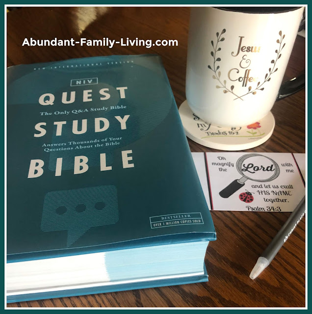 NIV Quest Study Bible