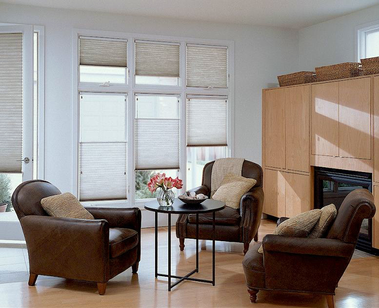 The Blind Alley | Hunter Douglas Duette Honeycomb Shades