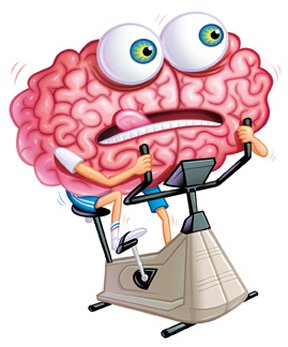 Brain Questions2