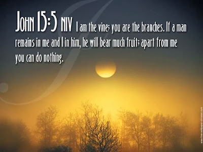 I am the vine ,you are the branches - Bible Quotes