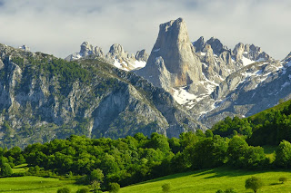 Resultado de imagen de ecosistema alpino